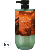 플루 아로마 데미지 케어 단백질 샴푸, 1000ml, 5개