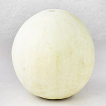 신세계푸드 후숙해서 드리는 허니듀 메론, 1.7kg, 1입