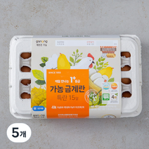 가농 무항생제 1+등급 특란 15구, 5개