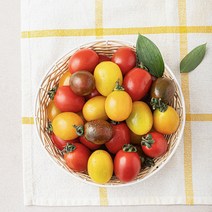 온리팜 GAP 인증 칼라 대추토마토, 500g, 1개