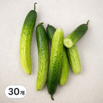 곰곰 국내산 백오이, 5입, 6개