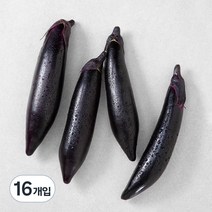 국내산 가지, 4개입, 4개