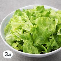 팜에이트 무농약 인증 카이피라 샐러드, 350g, 3개