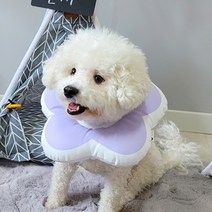 리스펫 반려동물 꽃개꽃냥 넥카라 블루 L, 140g, 1개