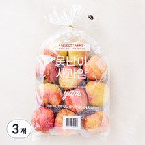 셀렉트팜 못난이 사과얌 yam 중과, 3kg(14입내), 3개