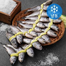 곰곰 국내산 굴비 20미 (냉동), 1.2kg, 1개