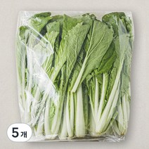 국내산 얼갈이, 1kg, 5개
