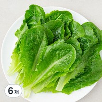 국내산 로메인 상추, 200g, 6개