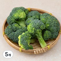 국내산 손질 브로콜리, 150g, 5개