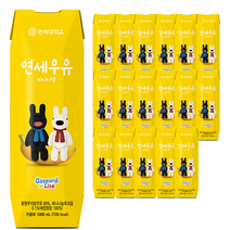 연세우유 바나나맛 멸균우유, 18개, 1000ml