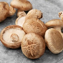 무농약표고버섯 종류 및 가격