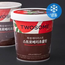 스키니피그 아이스크림 초콜릿 (냉동), 474ml, 1개