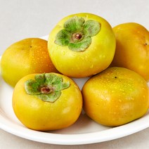 곰곰 국내산 GAP 단감 (7~9입), 1.5kg, 1팩