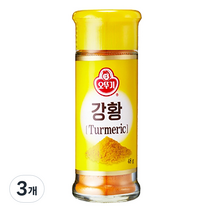 오뚜기 강황 향신료, 48g, 3개