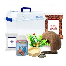 로라펫 코코칩 바닥재 크러스트 사료 소라게 키우기 세트, 혼합색상