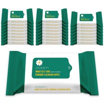 올담 미인 여성청결티슈, 20매, 24팩