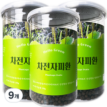 헬로우그린 차전자피 환 통, 9개, 250g