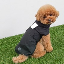 리얼펫 반려동물 심플 레인코트 겸용 바람막이 자켓, BLACK