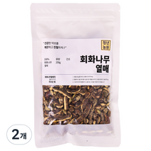 청년농원 회화 나무 열매, 2개, 250g