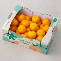 올레길감귤 GAP 인증 당도선별 감귤, 2.5kg (2S~L), 1박스
