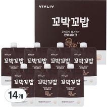 비브리브 꼬박꼬밥 식사대용 초코 맛 한끼 쉐이크, 40g, 14개