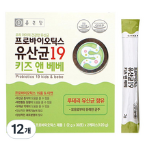 종근당 프로바이오틱스 유산균 19 키즈 앤 베베, 12개, 60g