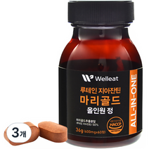 웰리트 루테인 지아잔틴 마리골드 올인원 정 36g, 3개