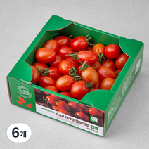 GAP 대추방울토마토, 1kg, 6개