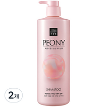 미쟝센 펄 샤이닝 리페어 샴푸 피오니향, 1000ml, 2개