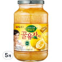 담터 꿀유자차, 1kg, 1개입, 5개