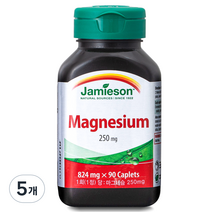 자미에슨 마그네슘 250mg, 90정, 5개