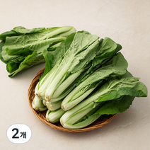 국내산 얼갈이, 800g, 2개
