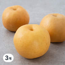 천안 당도선별 왕배, 1.8kg, 3개