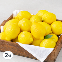 다조은 칠레산 레몬, 2팩, 3kg(22~26입)