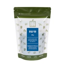 신선약초 환절기환, 300g, 1개