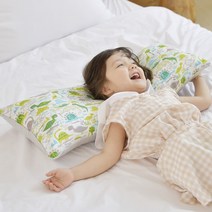 아띠블랑 인견 유아 와이드 베개 + 베개커버 2p, 디노랜드