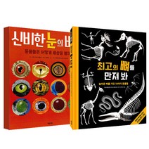 신비한눈의비밀 추천 TOP 80