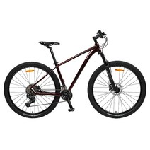 휠러 프로빅300 시마노XT MTB 산악자전거 미조립 75cm 15.5, 와인레드, 15.5인치