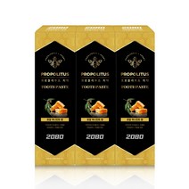 2080 프로폴리투스 치약 로얄 허니민트 향, 3개, 100g
