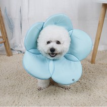 딩동펫 반려동물 벨크로 플라워 넥카라 블루 L, 1개
