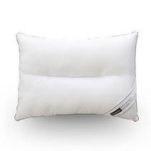 소미에르 알러지케어 마이크로 베개솜, 혼합색상