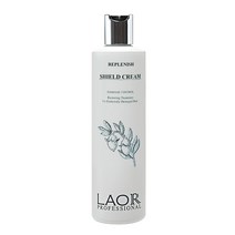 라오르 리플레니쉬 실드 크림, 300ml, 1개