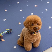 퍼핑 펫매트 러그형, 푸들