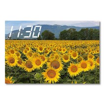 홈마인 캔버스 프린팅 액자 시리즈 LED 시계 해바라기 풍경 600 x 400 mm, 9