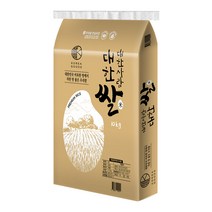 대한사람 대한쌀, 10kg, 1개
