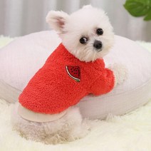 새코밍 반려견 후리스, 자몽