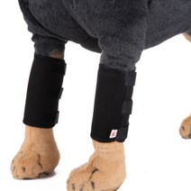 TCR 반려견 다리 보호대 무릎 패드 S, 블랙, 2개