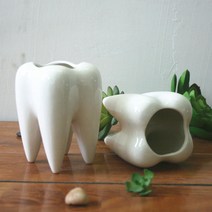 이빨디자인 세라믹 인테리어 화분 YT_RA012, 화이트