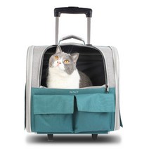 딩동펫 반려동물 더블 포켓 이동장 캐리어형, 그린