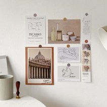 스튜디오201 브라운 피카소 사진 7종 세트